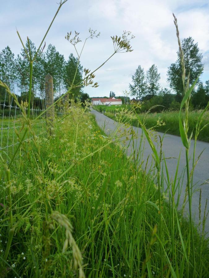 Het Verblijf Sint-Martens-Lennik Luaran gambar